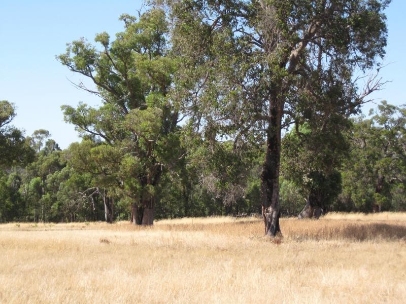 Lot 107/ Acacia Retreat, Wundowie WA 6560