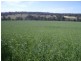 Lot 107/ Acacia Retreat, Wundowie WA 6560