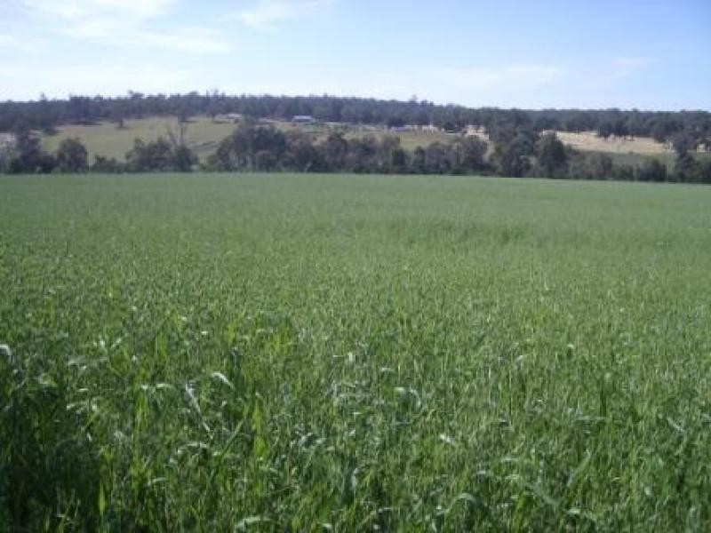 Lot 107/ Acacia Retreat, Wundowie WA 6560