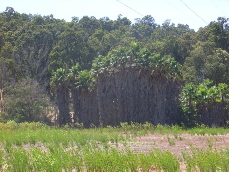 Lot 218/440 Grand Valley Drive, Chidlow WA 6556