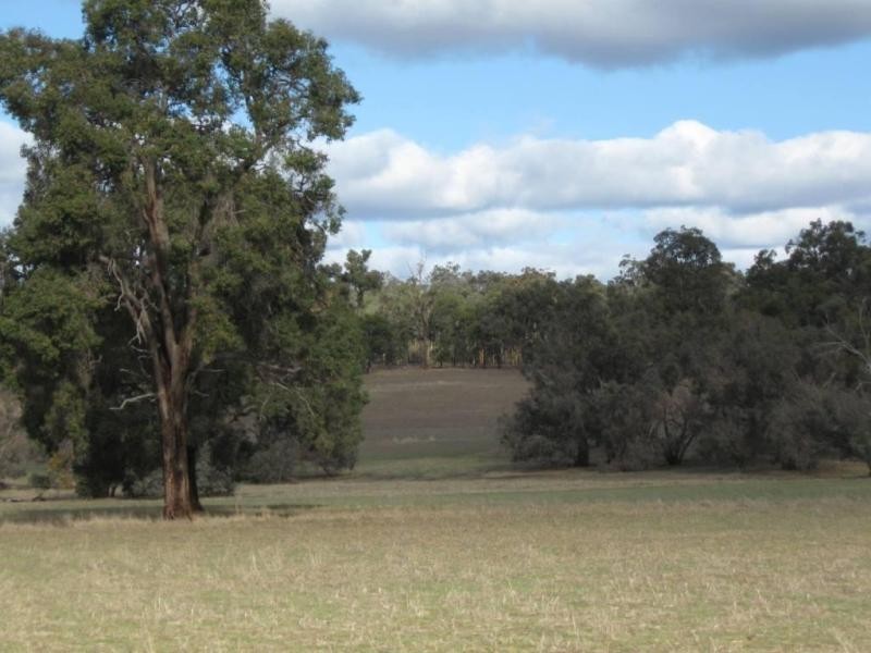 Lot 6/ Great Southern Hwy, Woottating WA 6562