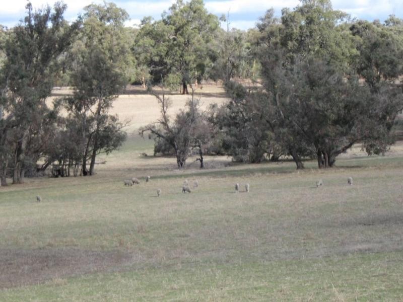 Lot 6/ Great Southern Hwy, Woottating WA 6562