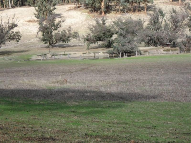 Lot 6/ Great Southern Hwy, Woottating WA 6562