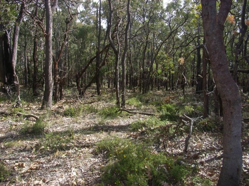 Lot 324/10443 Stoneville Road, Gidgegannup WA 6083