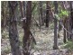 Lot 324/10443 Stoneville Road, Gidgegannup WA 6083