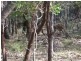 Lot 324/10443 Stoneville Road, Gidgegannup WA 6083