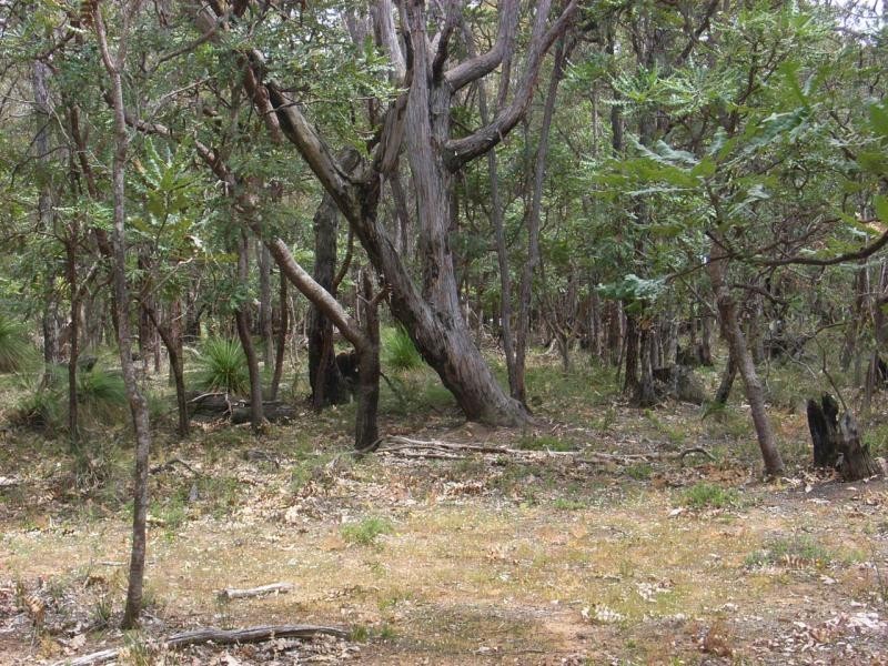 Lot 324/10443 Stoneville Road, Gidgegannup WA 6083