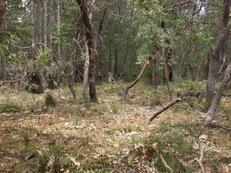 Lot 324/10443 Stoneville Road, Gidgegannup WA 6083