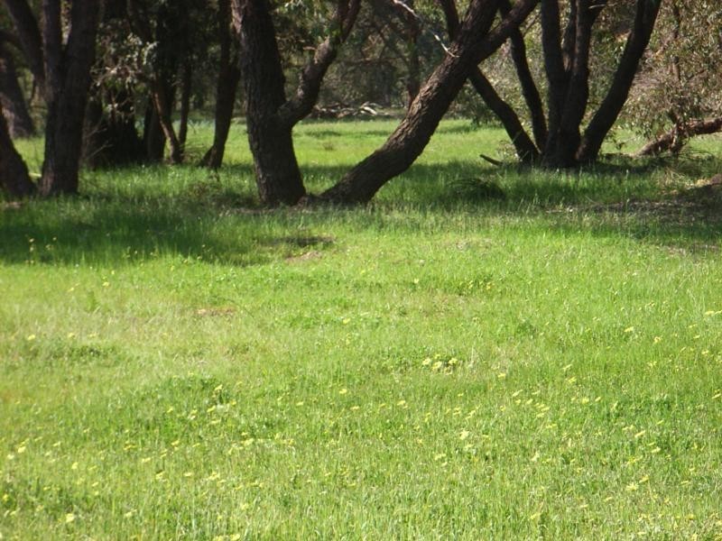 Lot 326/10263 Stoneville Road, Gidgegannup WA 6083