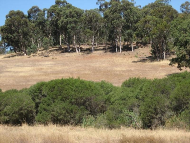 65 Werribee Road, Wundowie WA 6560