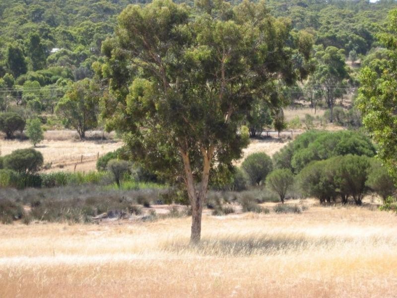 65 Werribee Road, Wundowie WA 6560