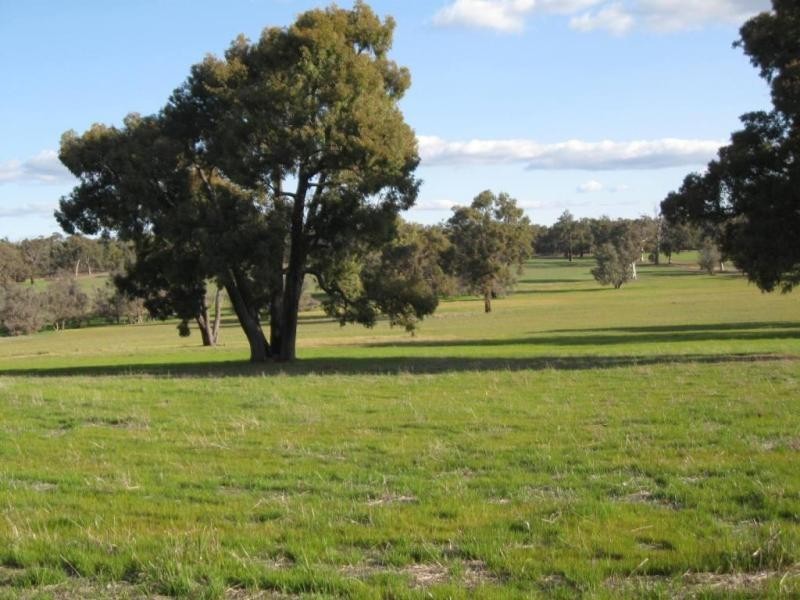 Lot 6/ Great Southern Hwy, Woottating, The Lakes WA 6556