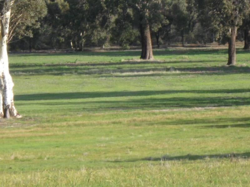 Lot 6/ Great Southern Hwy, Woottating, The Lakes WA 6556