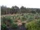 6 Cookes Way, Chidlow WA 6556