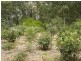 Lot 94/6 Helena Street, Mundaring WA 6073
