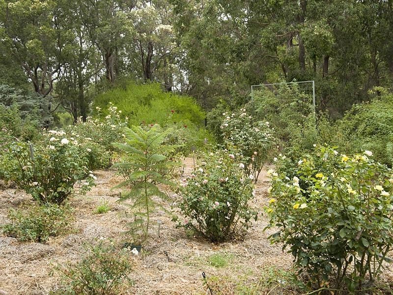Lot 94/6 Helena Street, Mundaring WA 6073