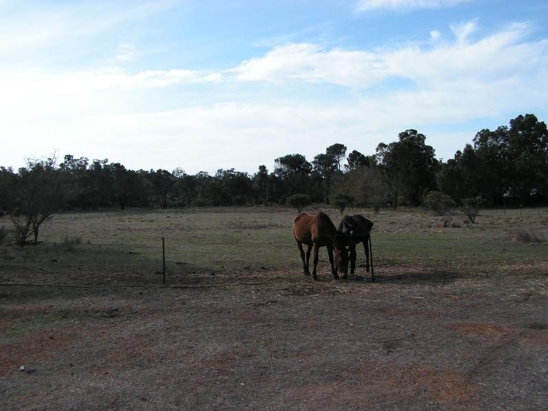 Mundaring WA 6073