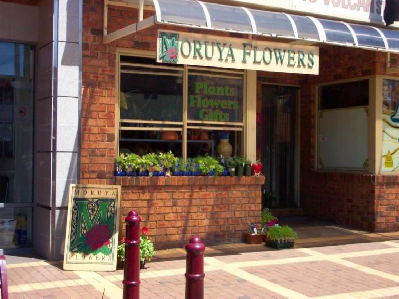 Moruya NSW 2537