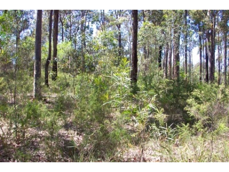 Lot 1, 1 Karen Park’Misons Road., Bimbimbie NSW 2536
