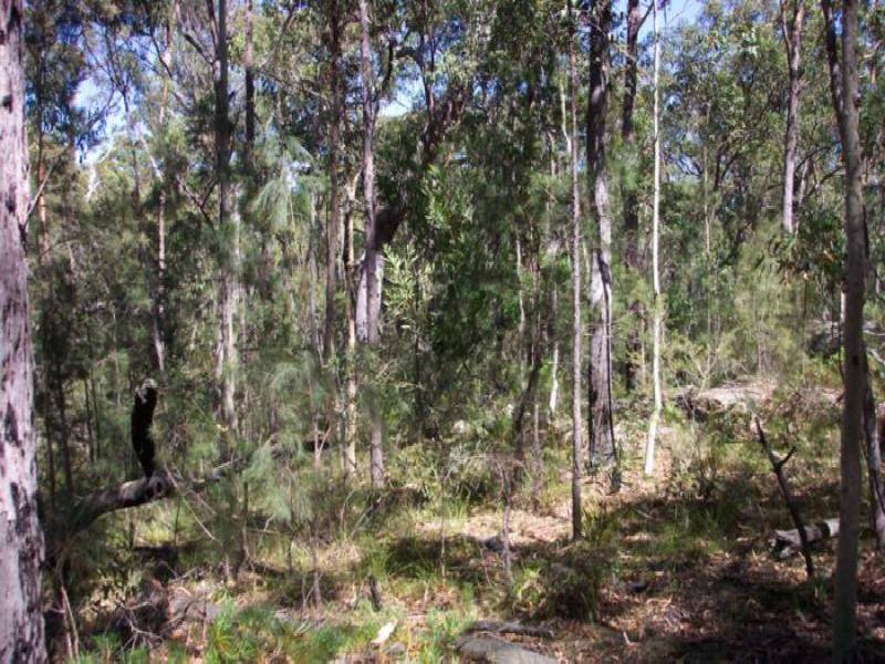 Moruya NSW 2537