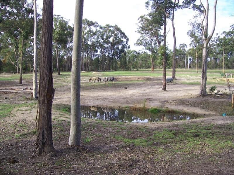 Lot 2/25 Sharni Place, Mogo NSW 2536