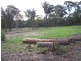 Lot 2/25 Sharni Place, Mogo NSW 2536