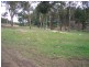 Lot 2/25 Sharni Place, Mogo NSW 2536