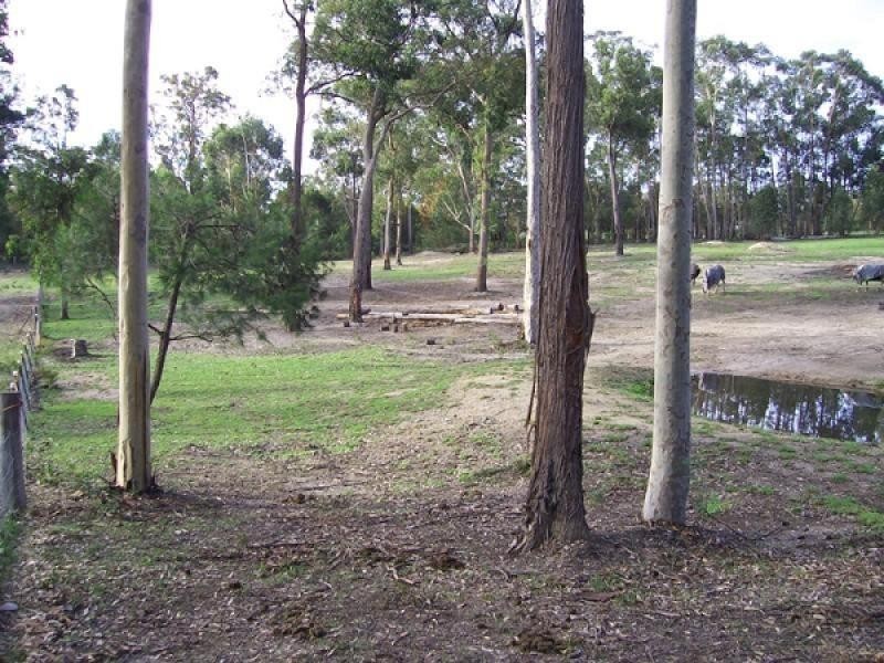 Lot 2/25 Sharni Place, Mogo NSW 2536