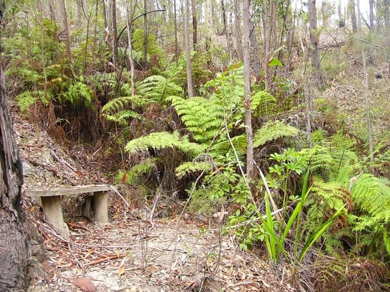 21 Roseby Drive, Rosedale NSW 2536