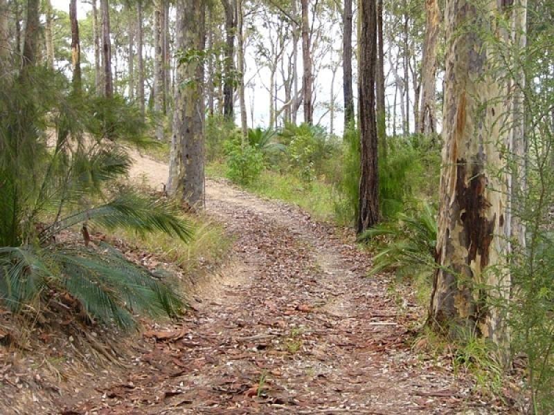 21 Roseby  Drive, Rosedale NSW 2536