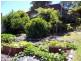 11 Beatty Crescent, Tuross Head NSW 2537