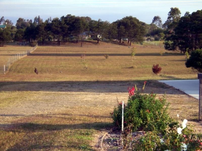 127 Larrys Mountain Road, Moruya NSW 2537