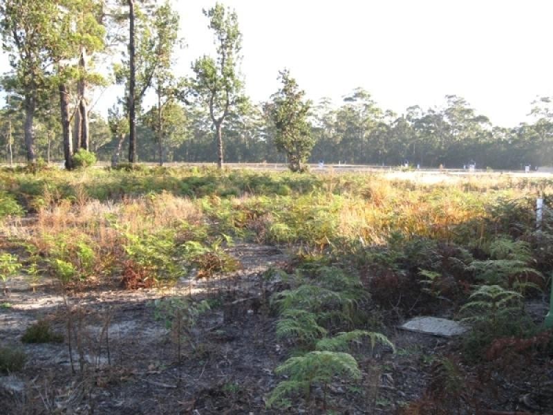 Lot 19 Caitlin Crescent, Broulee NSW 2537