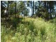 7 SCENIC PLACE, Moruya Heads NSW 2537