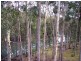 Moruya Heads NSW 2537
