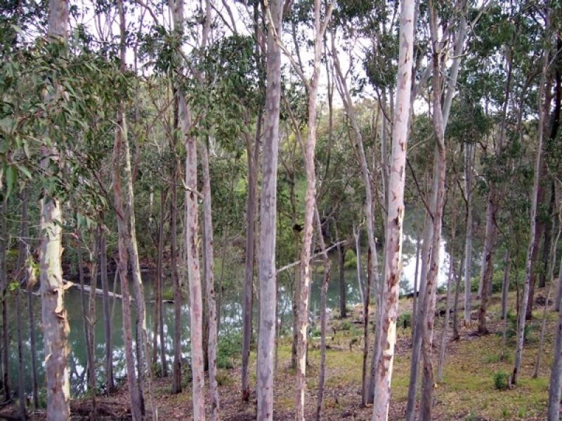 Moruya Heads NSW 2537