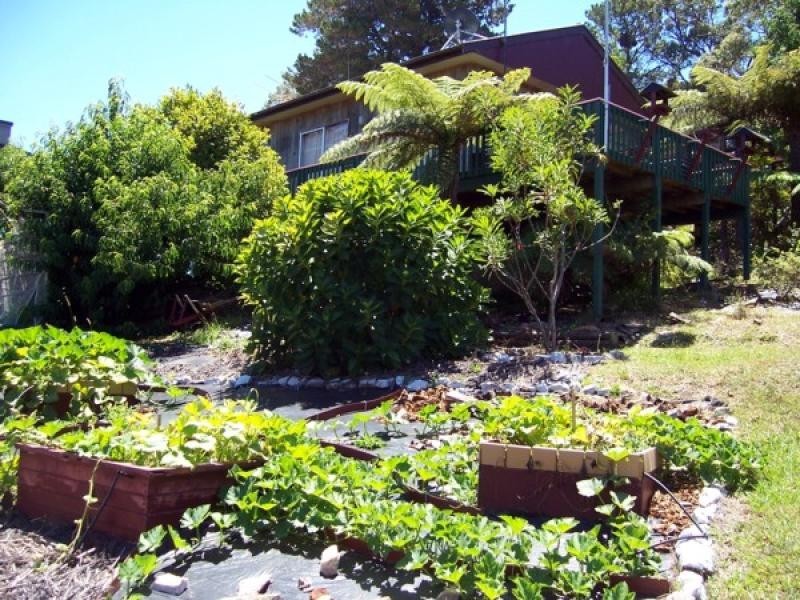 11 Beatty Crescent, Tuross Head NSW 2537