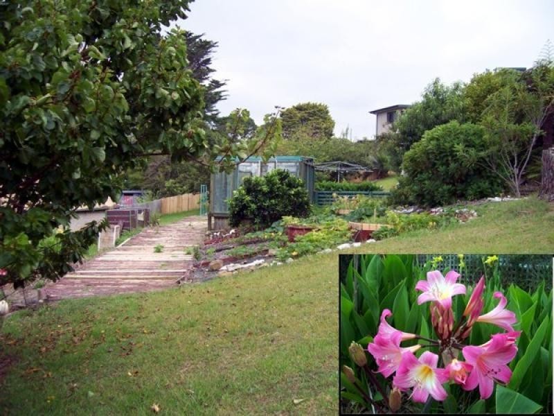 11 Beatty Crescent, Tuross Head NSW 2537