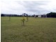 11 Maclean Place, Moruya NSW 2537