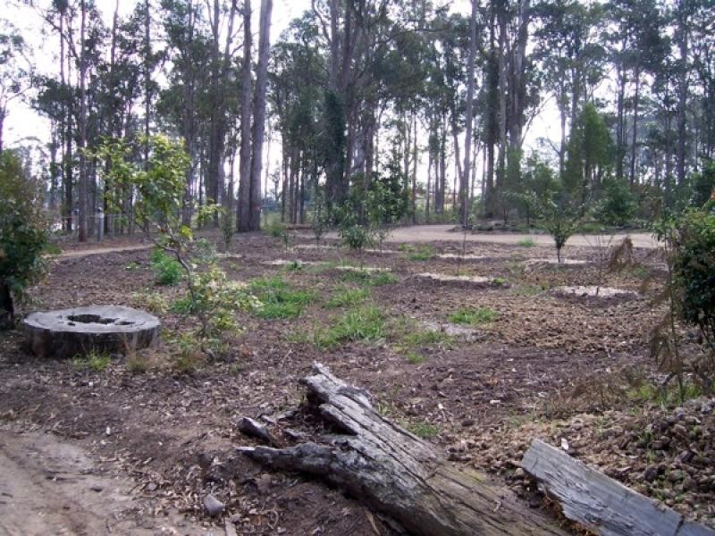 68 Berriman Drive, Congo NSW 2537