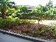 Newtown NSW 2042