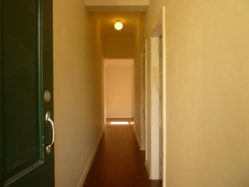 165 Probert St, Newtown NSW 2042