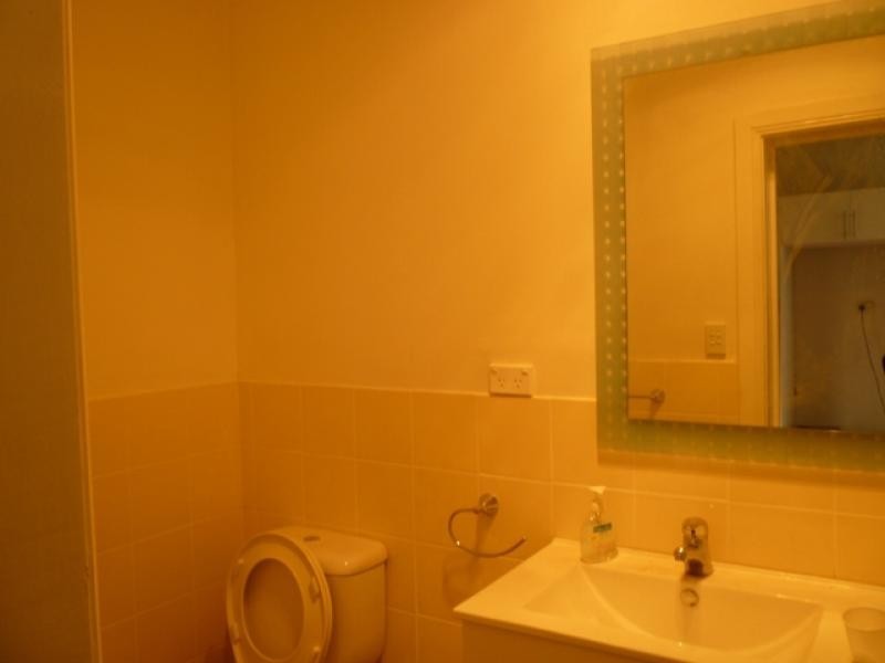 165 Probert St, Newtown NSW 2042