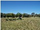 15 SARAH STREET, Gerogery NSW 2642