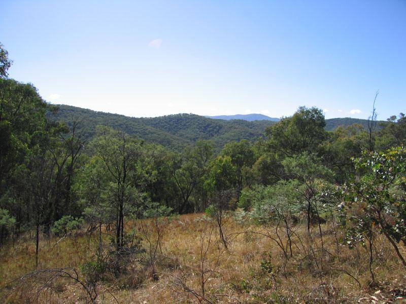 Koetong VIC 3704