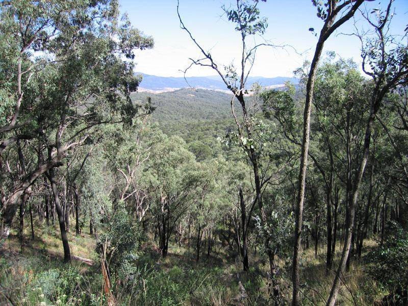 Koetong VIC 3704