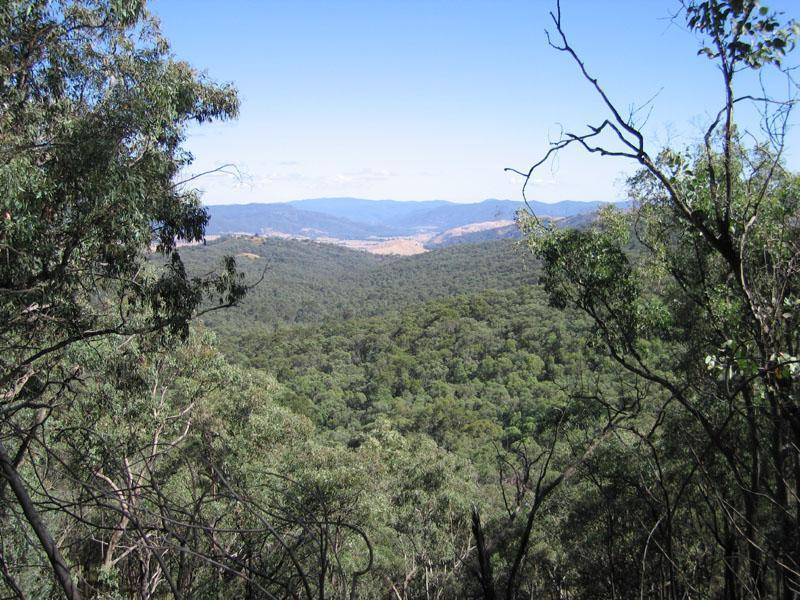 Koetong VIC 3704