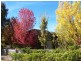 141 Besley Lane, Kergunyah VIC 3691