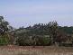 . WYCOMBE, Holbrook NSW 2644