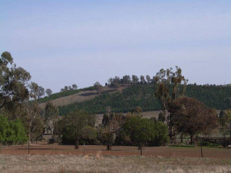 . WYCOMBE, Holbrook NSW 2644